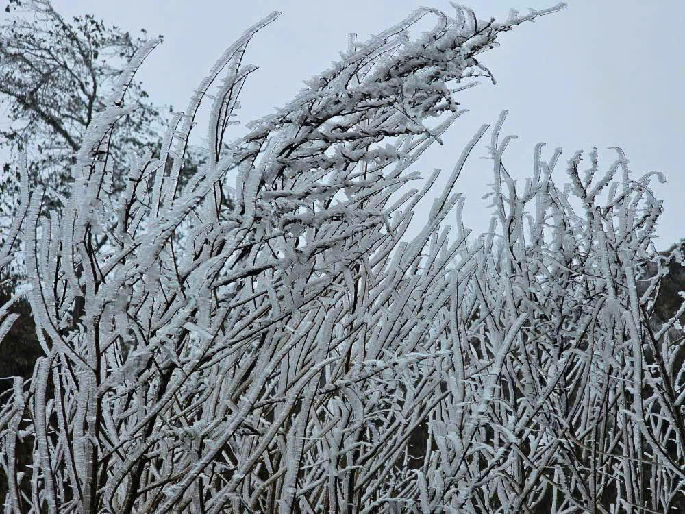 Kỳ vĩ cảnh băng tuyết phủ trắng đỉnh Lảo Thẩn