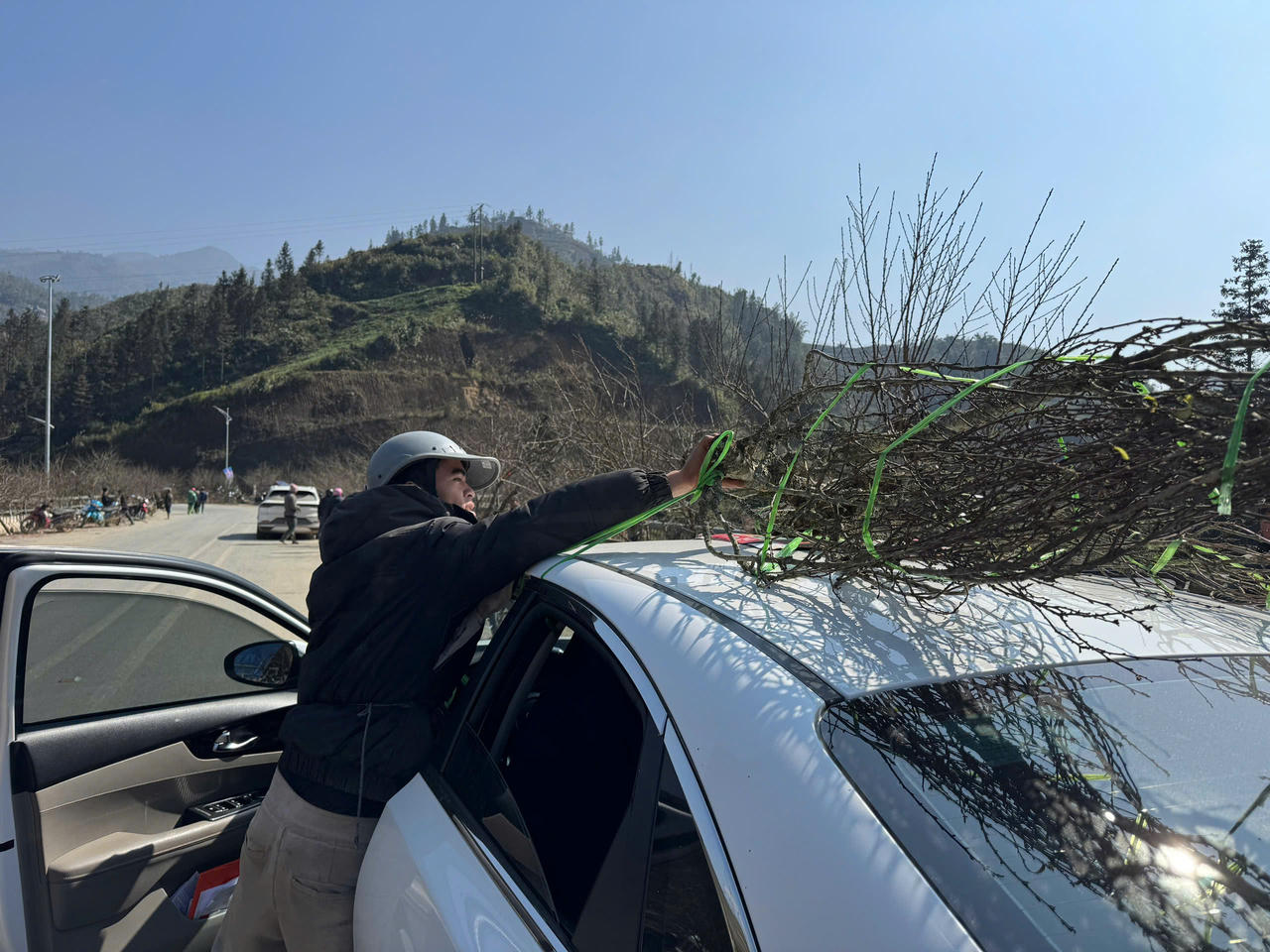 Hoa đào, hoa lan Tây Bắc rộn ràng xuống phố đón Tết