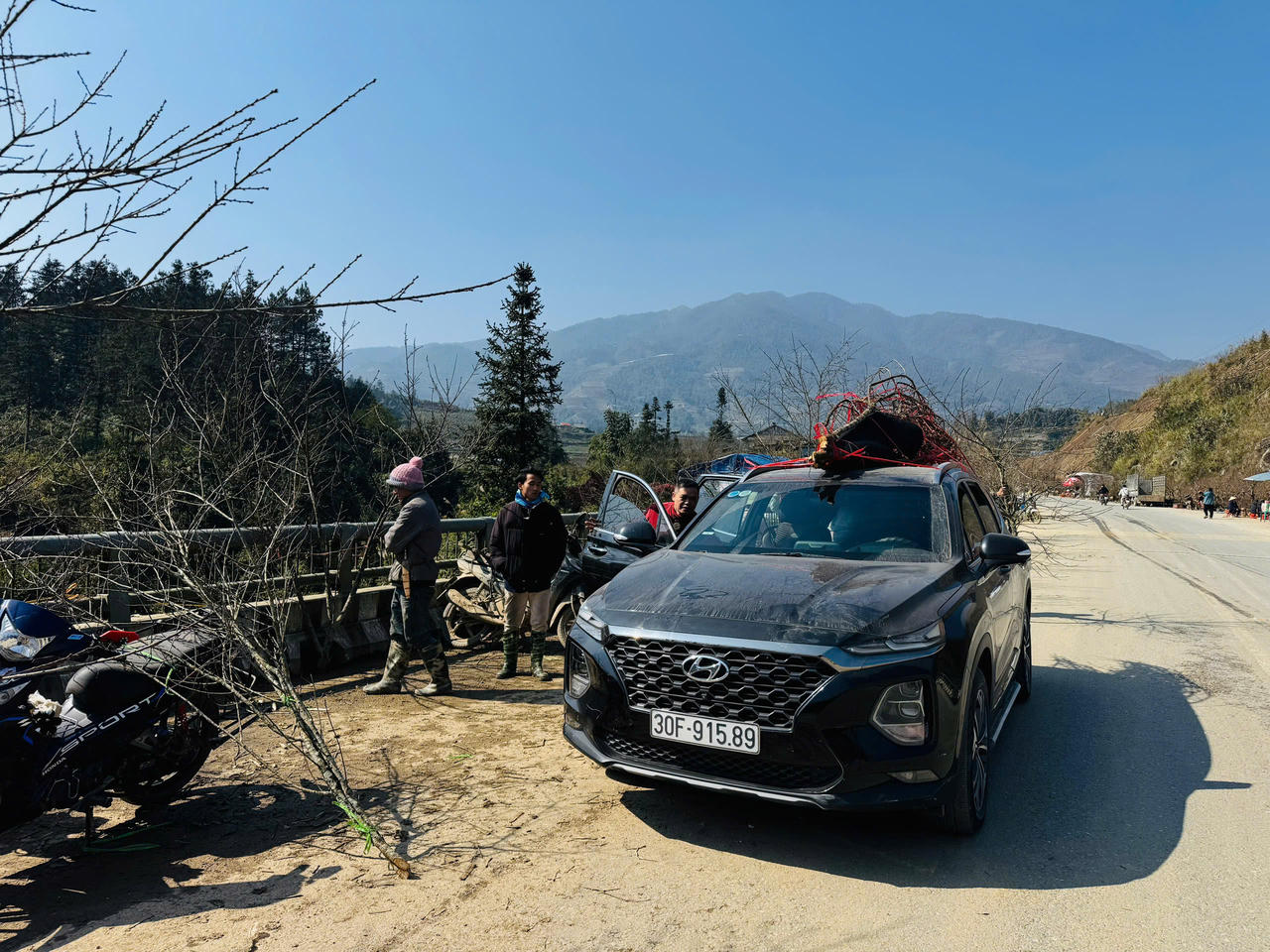 Hoa đào, hoa lan Tây Bắc rộn ràng xuống phố đón Tết