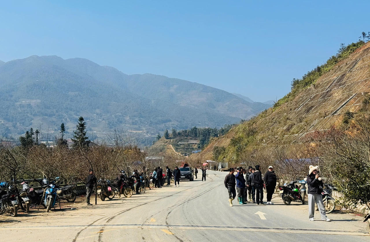 Hoa đào, hoa lan Tây Bắc rộn ràng xuống phố đón Tết