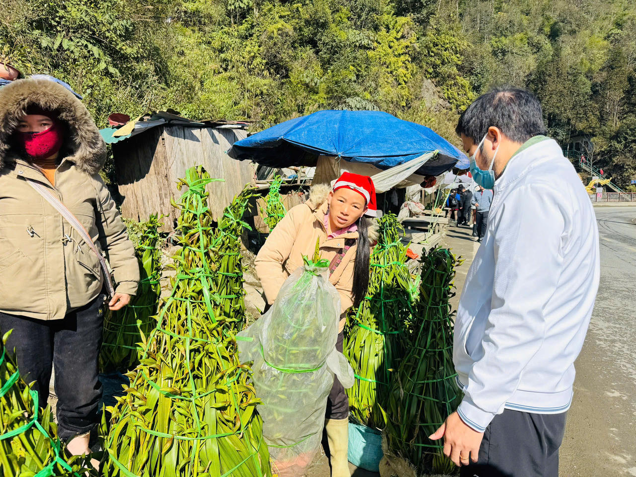 Hoa đào, hoa lan Tây Bắc rộn ràng xuống phố đón Tết