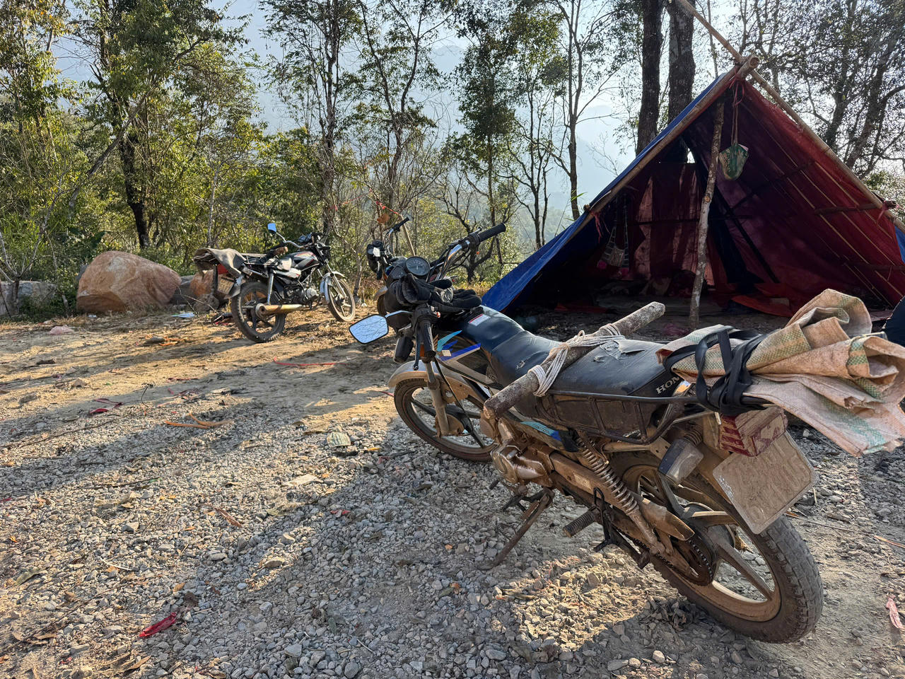 Hoa đào, hoa lan Tây Bắc rộn ràng xuống phố đón Tết