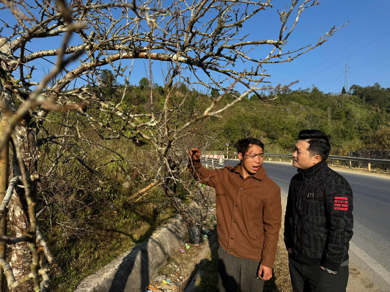 Hoa đào, hoa lan Tây Bắc rộn ràng xuống phố đón Tết