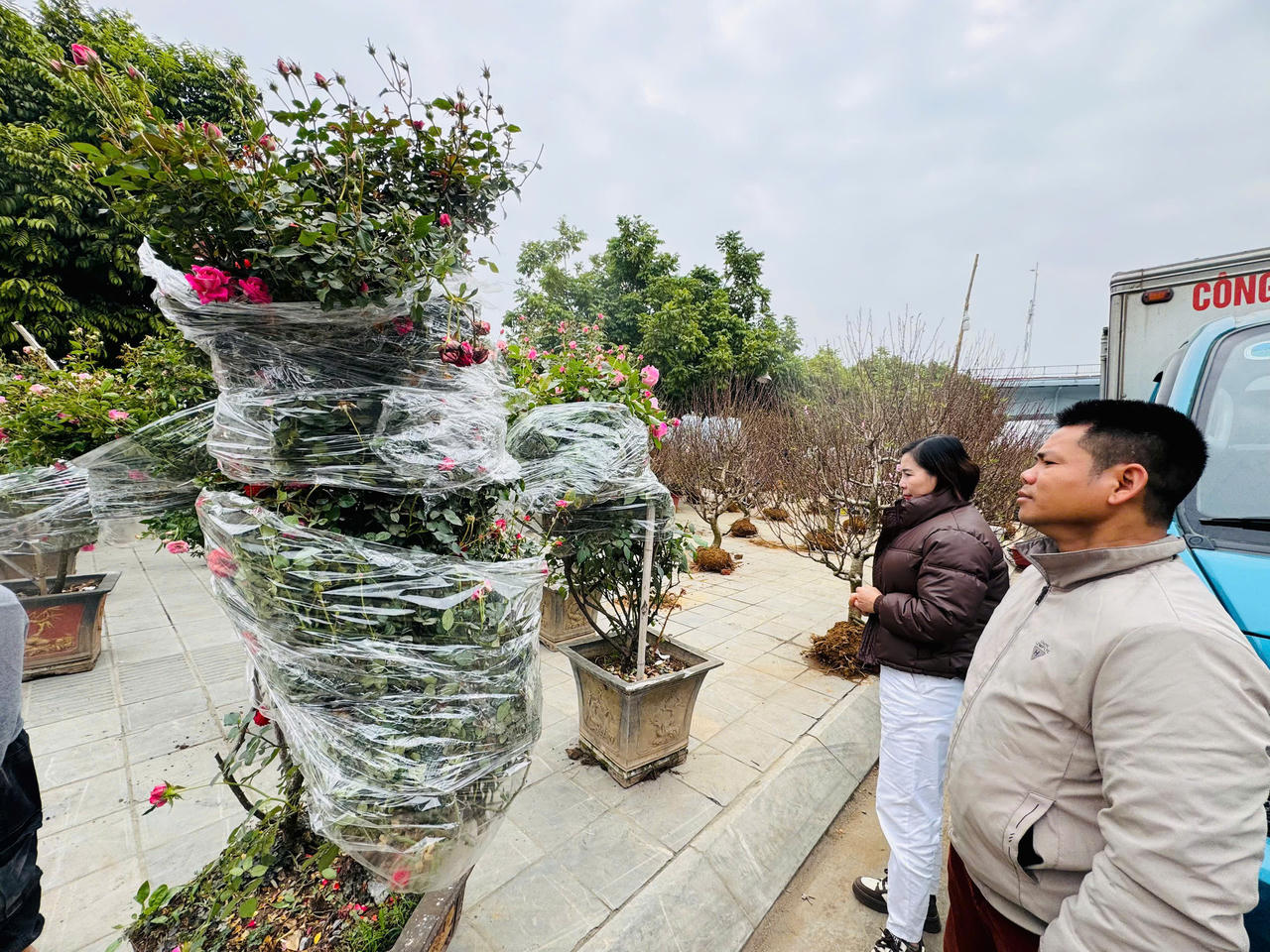 Rộn ràng sắc xuân chợ hoa TP Lào Cai