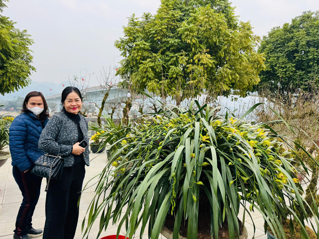 Rộn ràng sắc xuân chợ hoa TP Lào Cai