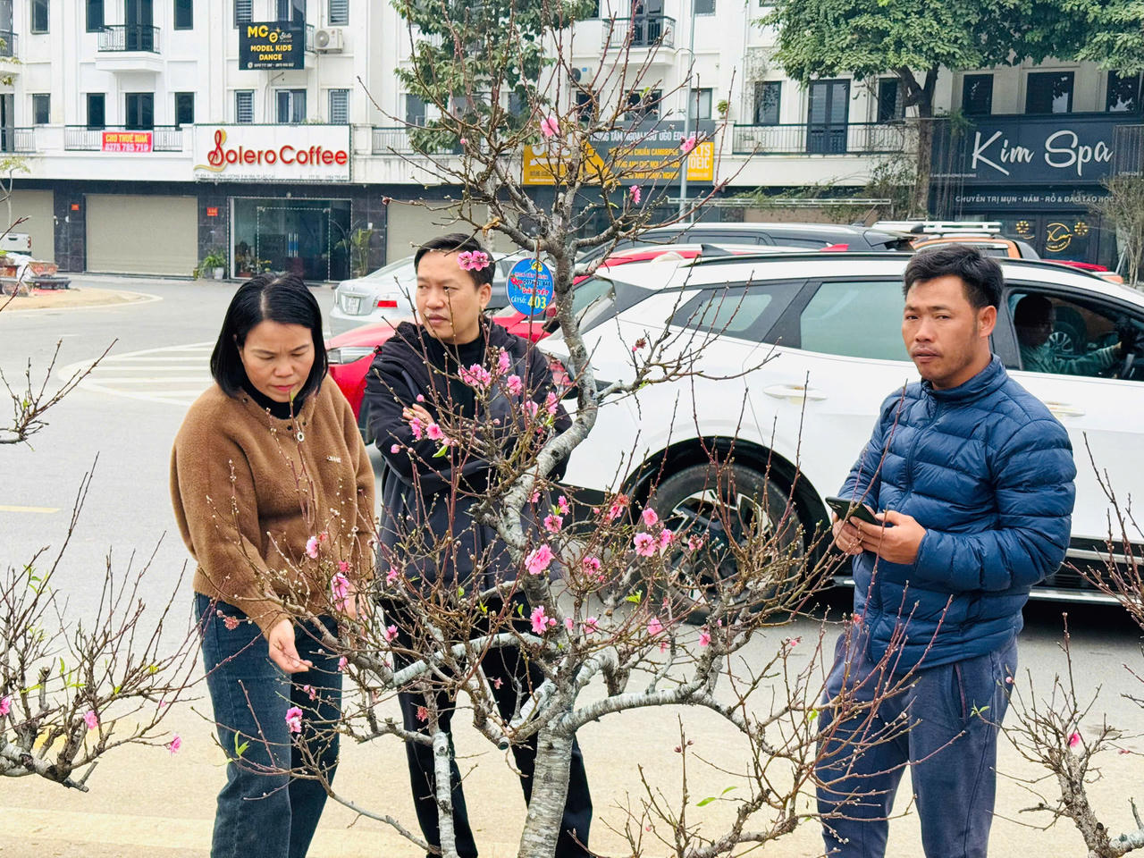 Rộn ràng sắc xuân chợ hoa TP Lào Cai