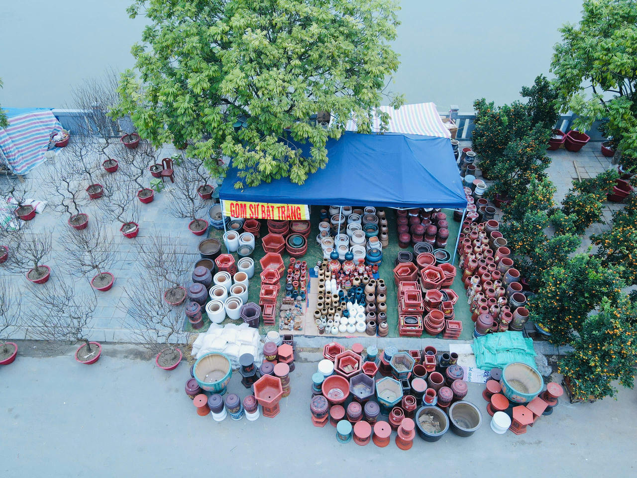 Rộn ràng sắc xuân chợ hoa TP Lào Cai