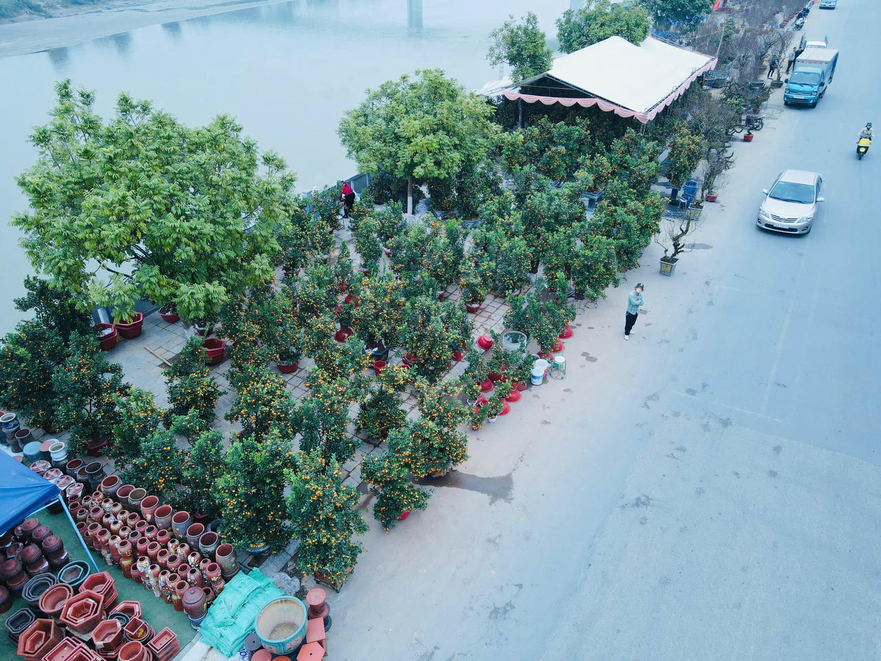 Rộn ràng sắc xuân chợ hoa TP Lào Cai