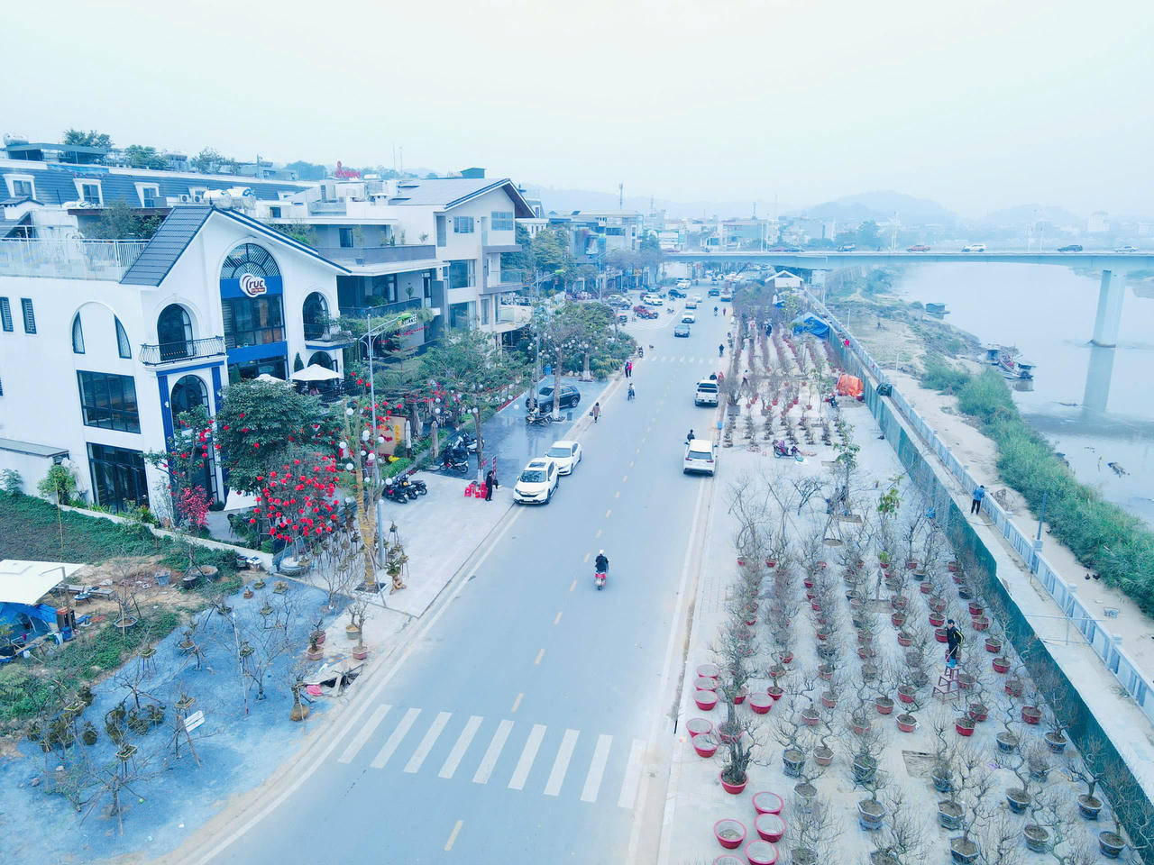 Rộn ràng sắc xuân chợ hoa TP Lào Cai