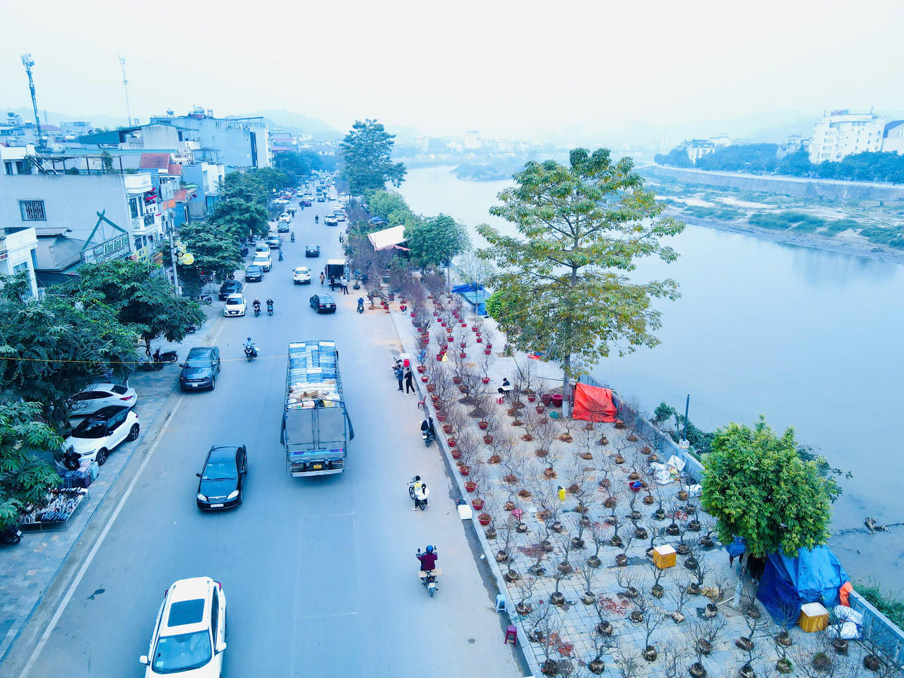 Rộn ràng sắc xuân chợ hoa TP Lào Cai