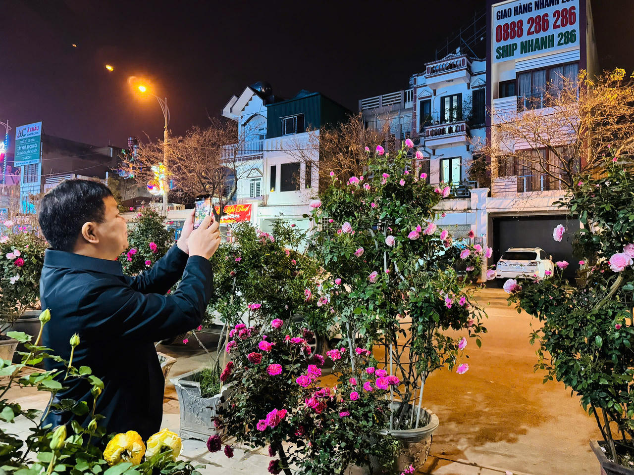 Hoa hồng hấp dẫn người mua tại chợ hoa xuân Lào Cai