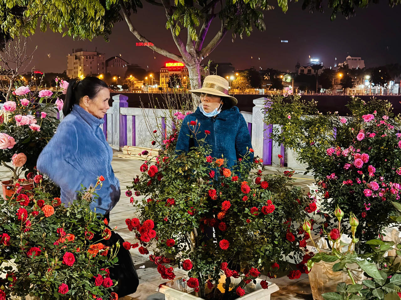 Hoa hồng hấp dẫn người mua tại chợ hoa xuân Lào Cai