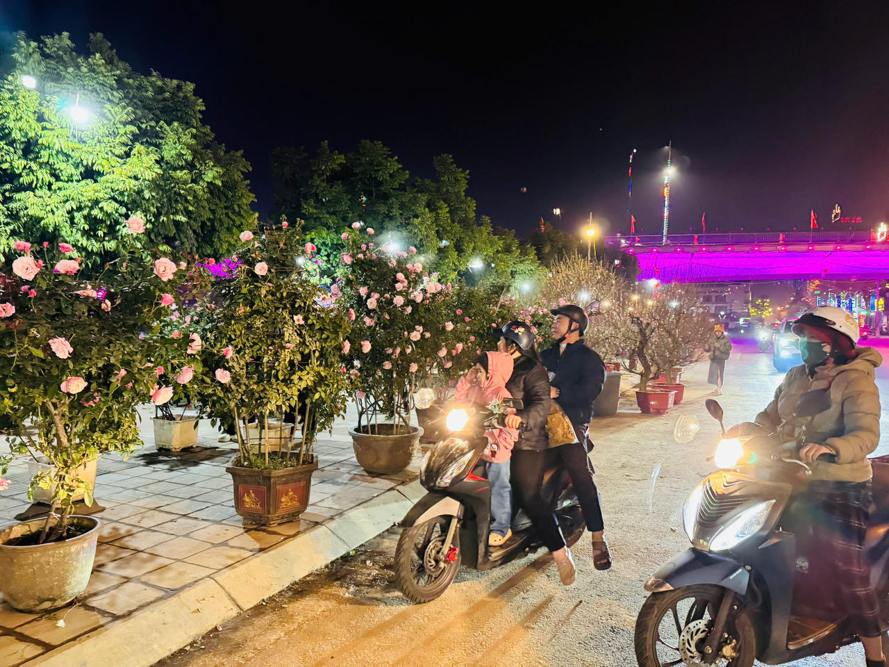 Hoa hồng hấp dẫn người mua tại chợ hoa xuân Lào Cai