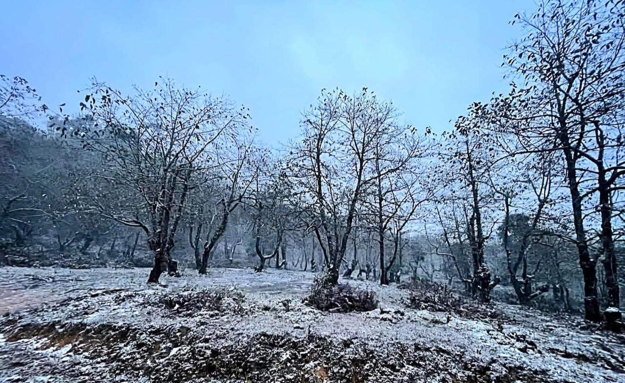 Du khách thích thú check – in với tuyết