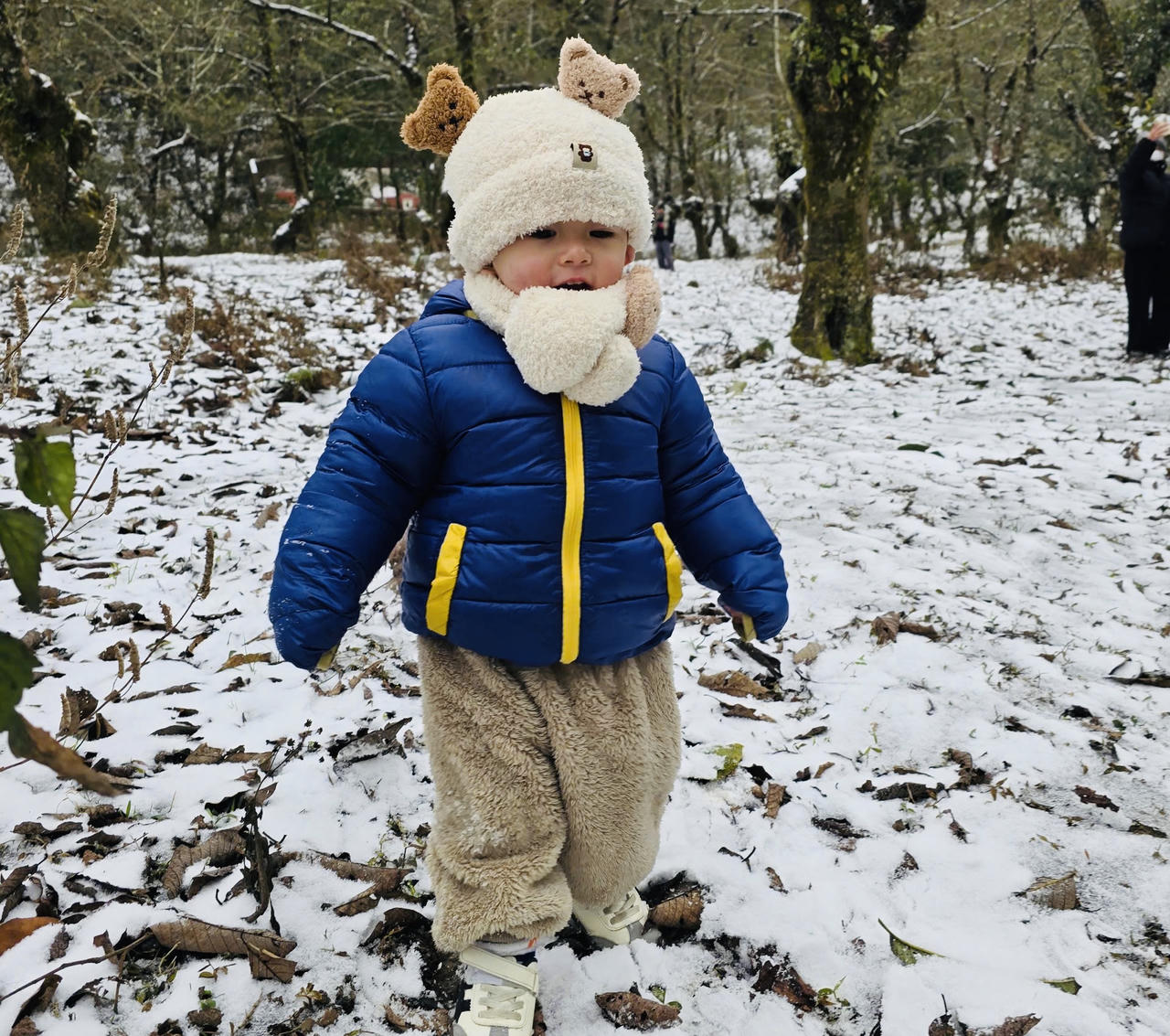 Du khách thích thú check – in với tuyết