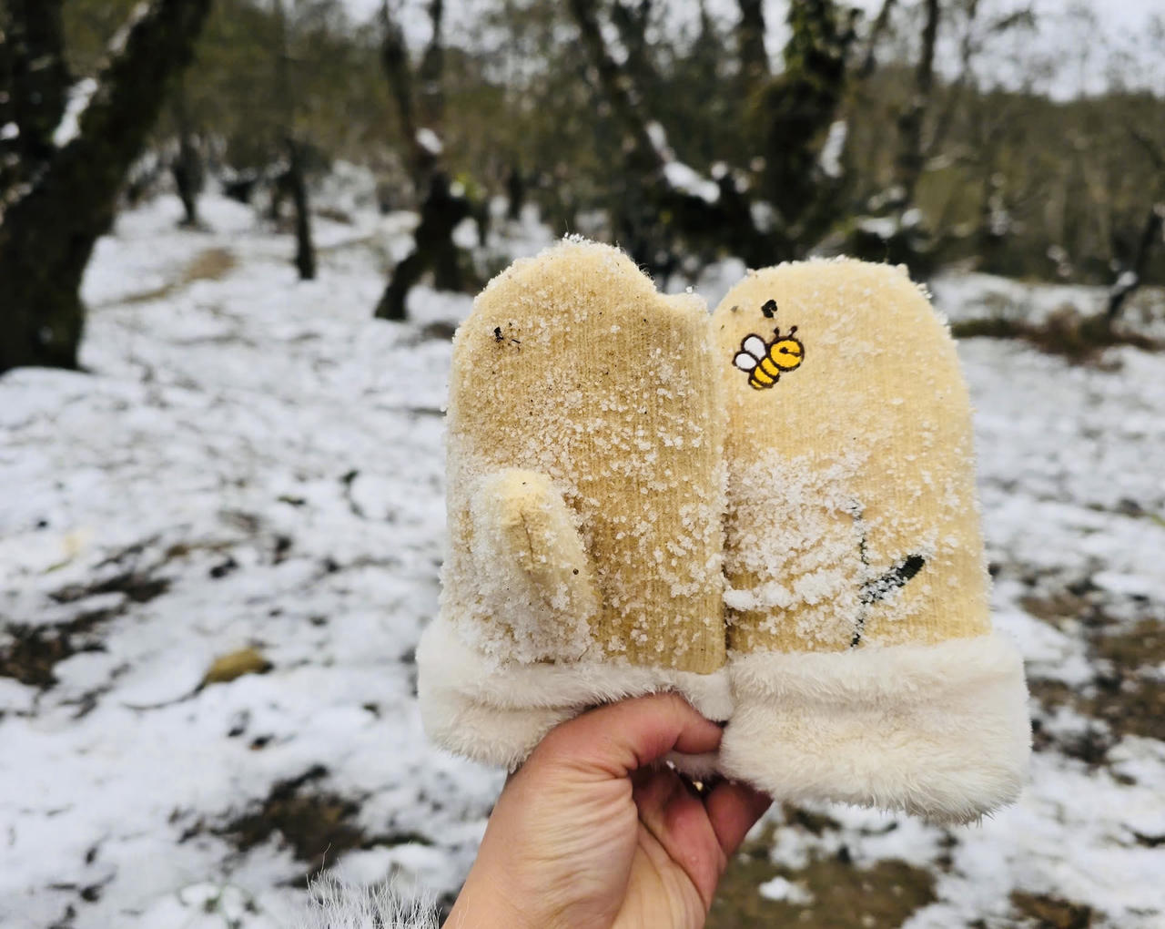 Du khách thích thú check – in với tuyết