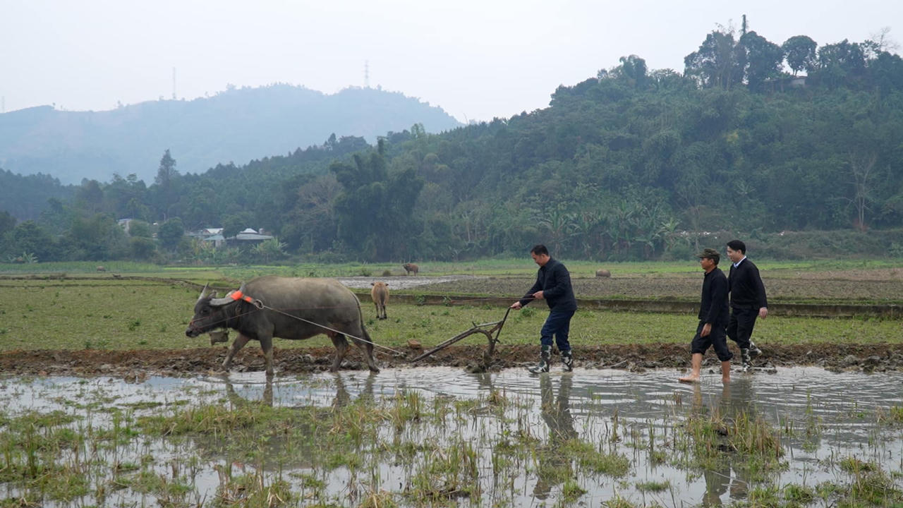 Sôi nổi không khí lễ hội đầu năm tại tỉnh Lào Cai