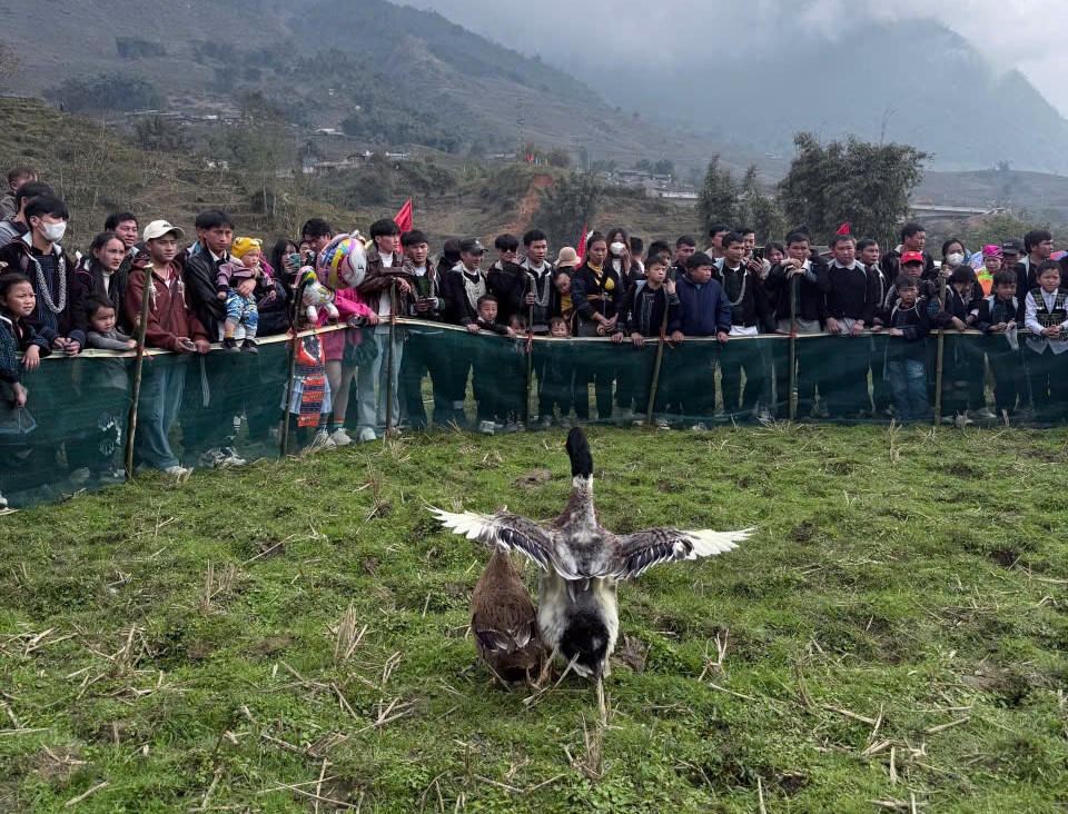 Người dân và du khách nô nức tham dự Lễ hội Xuống đồng tại Sa Pa