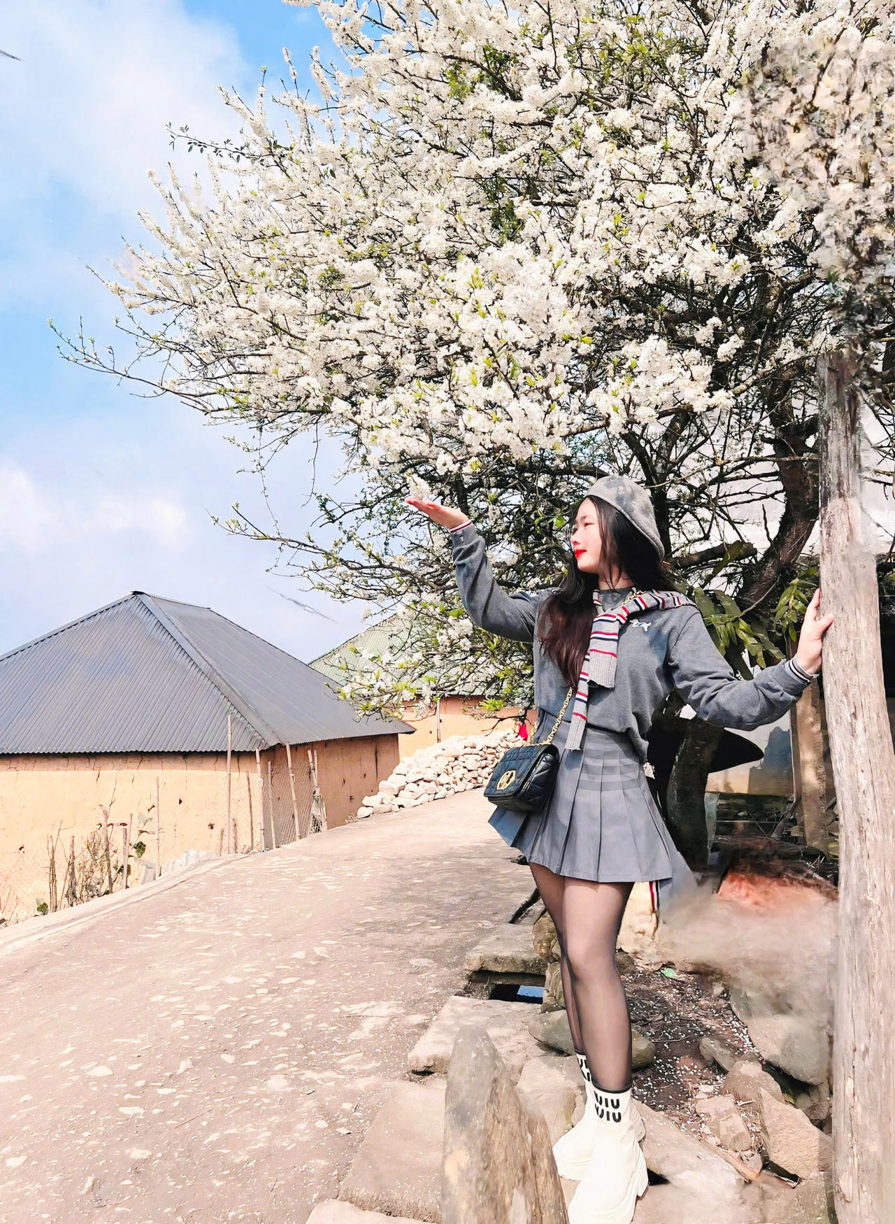 Chiêm ngưỡng vẻ đẹp cây hoa mận hàng chục năm tuổi ở Y Tý