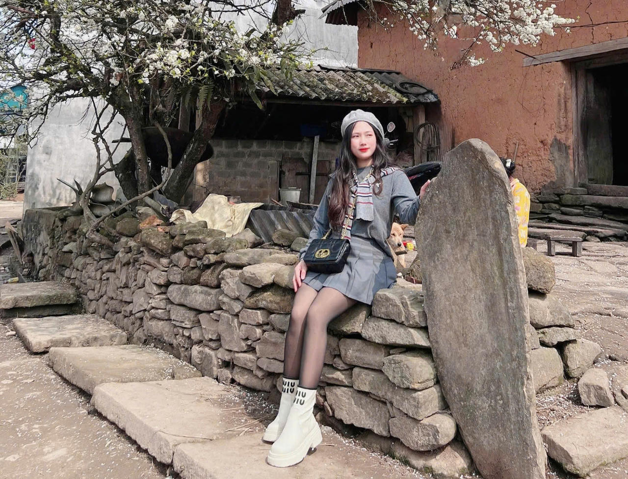 Chiêm ngưỡng vẻ đẹp cây hoa mận hàng chục năm tuổi ở Y Tý