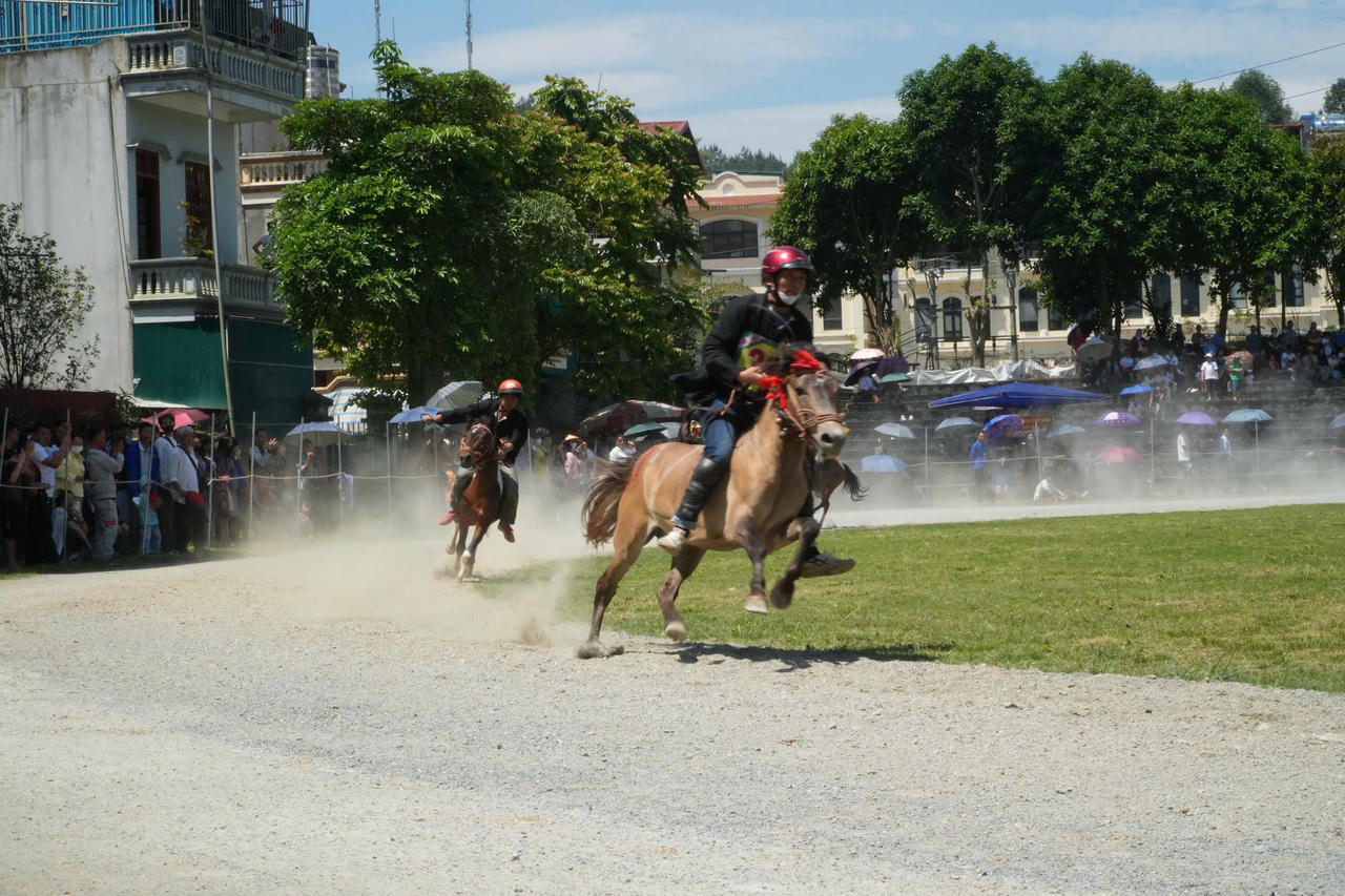 Gần 100 nài ngựa tham gia giải đua ngựa truyền thống huyện Bắc Hà lần thứ 18