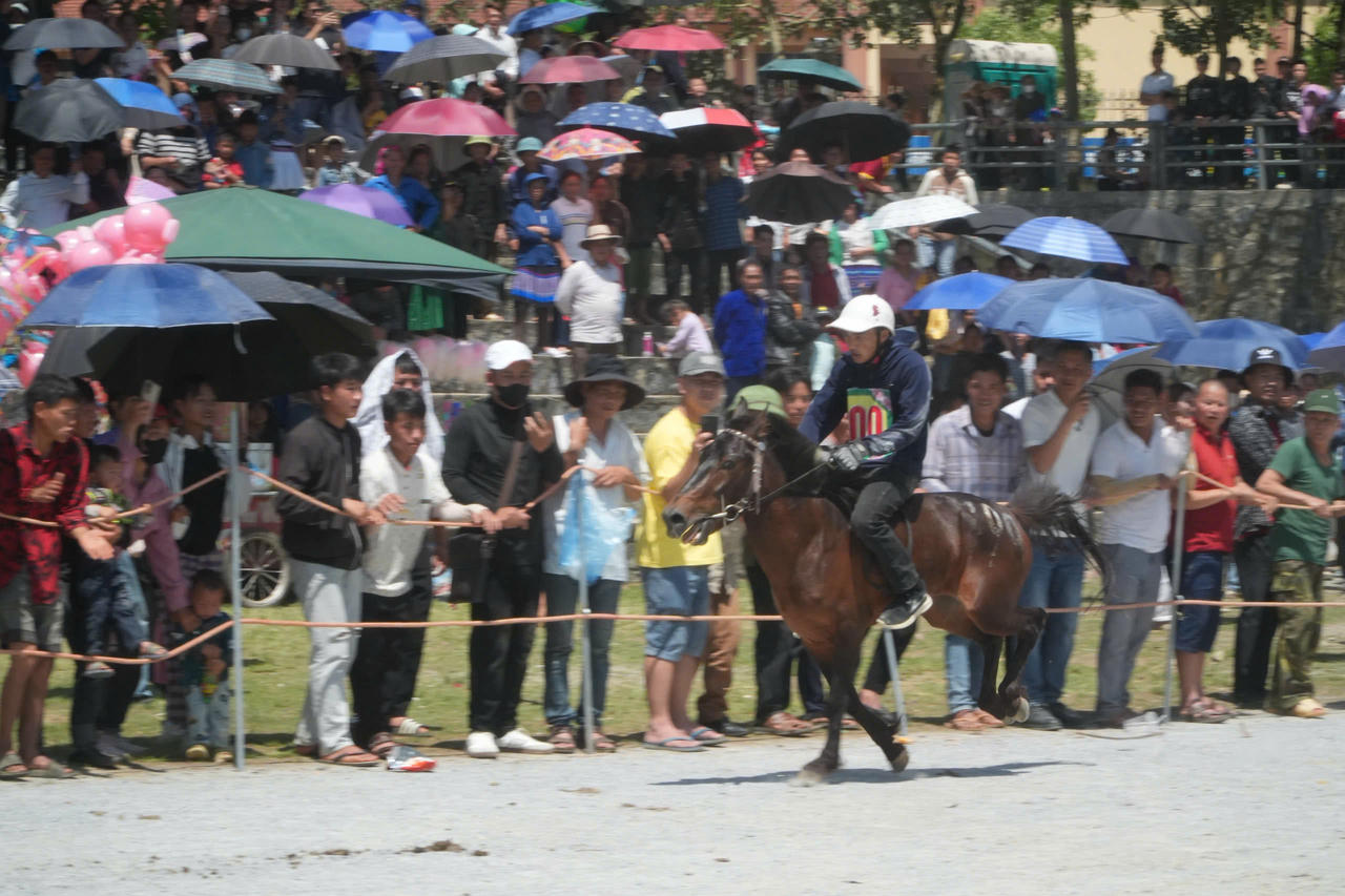 Gần 100 nài ngựa tham gia giải đua ngựa truyền thống huyện Bắc Hà lần thứ 18