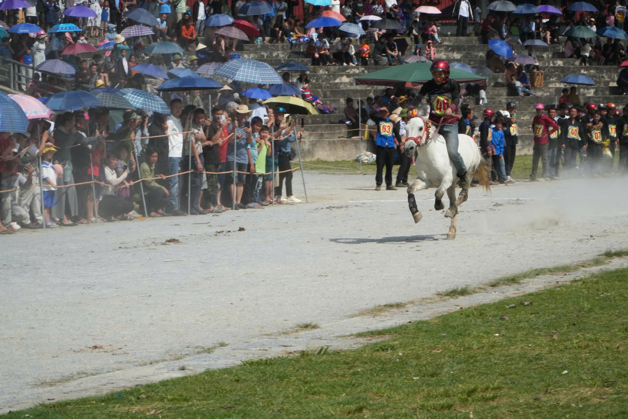 Gần 100 nài ngựa tham gia giải đua ngựa truyền thống huyện Bắc Hà lần thứ 18