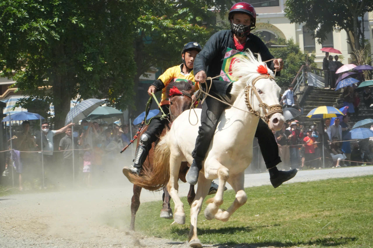 Gần 100 nài ngựa tham gia giải đua ngựa truyền thống huyện Bắc Hà lần thứ 18