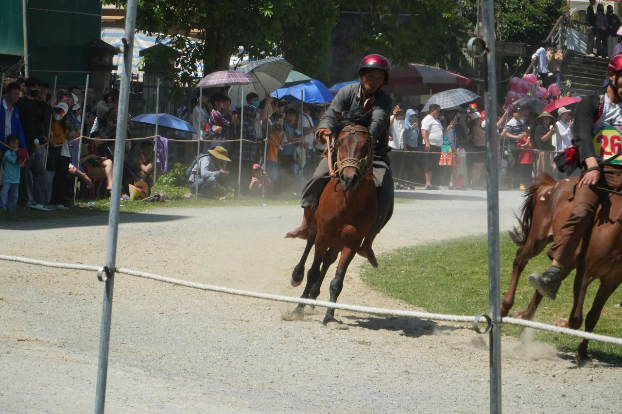 Gần 100 nài ngựa tham gia giải đua ngựa truyền thống huyện Bắc Hà lần thứ 18