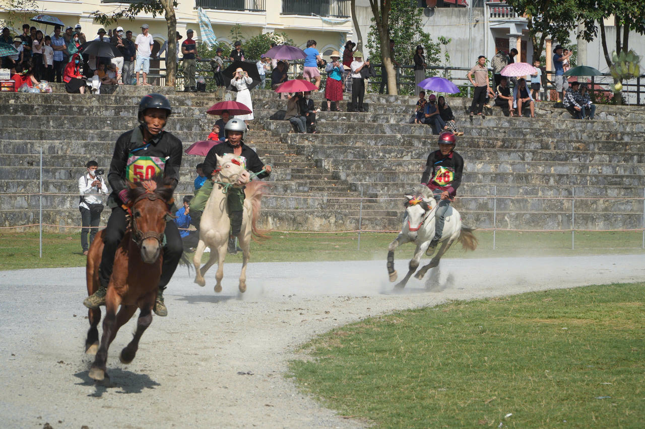 Gần 100 nài ngựa tham gia giải đua ngựa truyền thống huyện Bắc Hà lần thứ 18