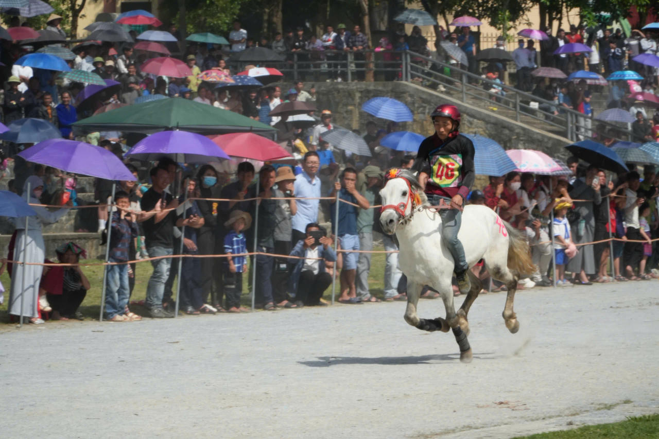 Gần 100 nài ngựa tham gia giải đua ngựa truyền thống huyện Bắc Hà lần thứ 18