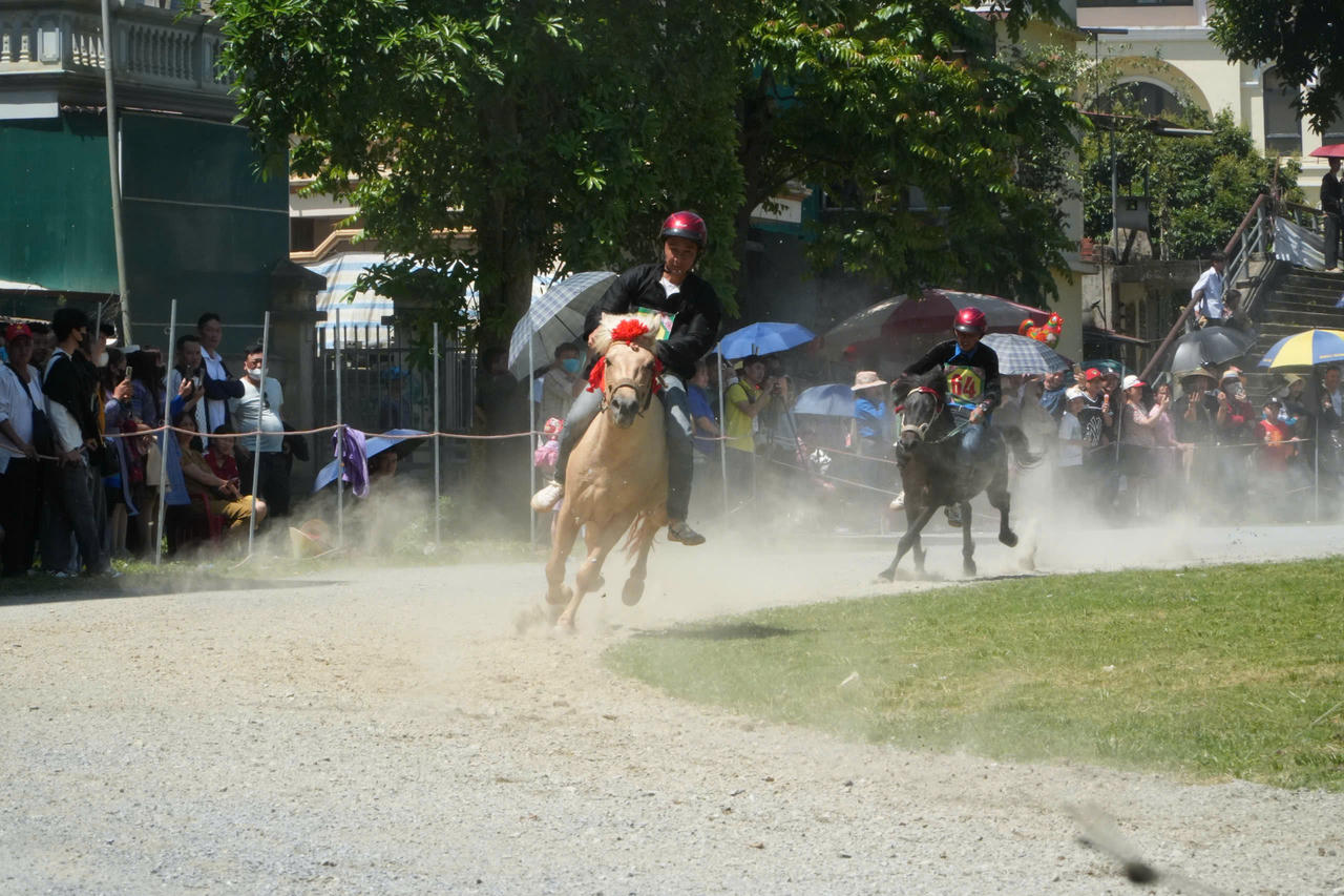 Gần 100 nài ngựa tham gia giải đua ngựa truyền thống huyện Bắc Hà lần thứ 18