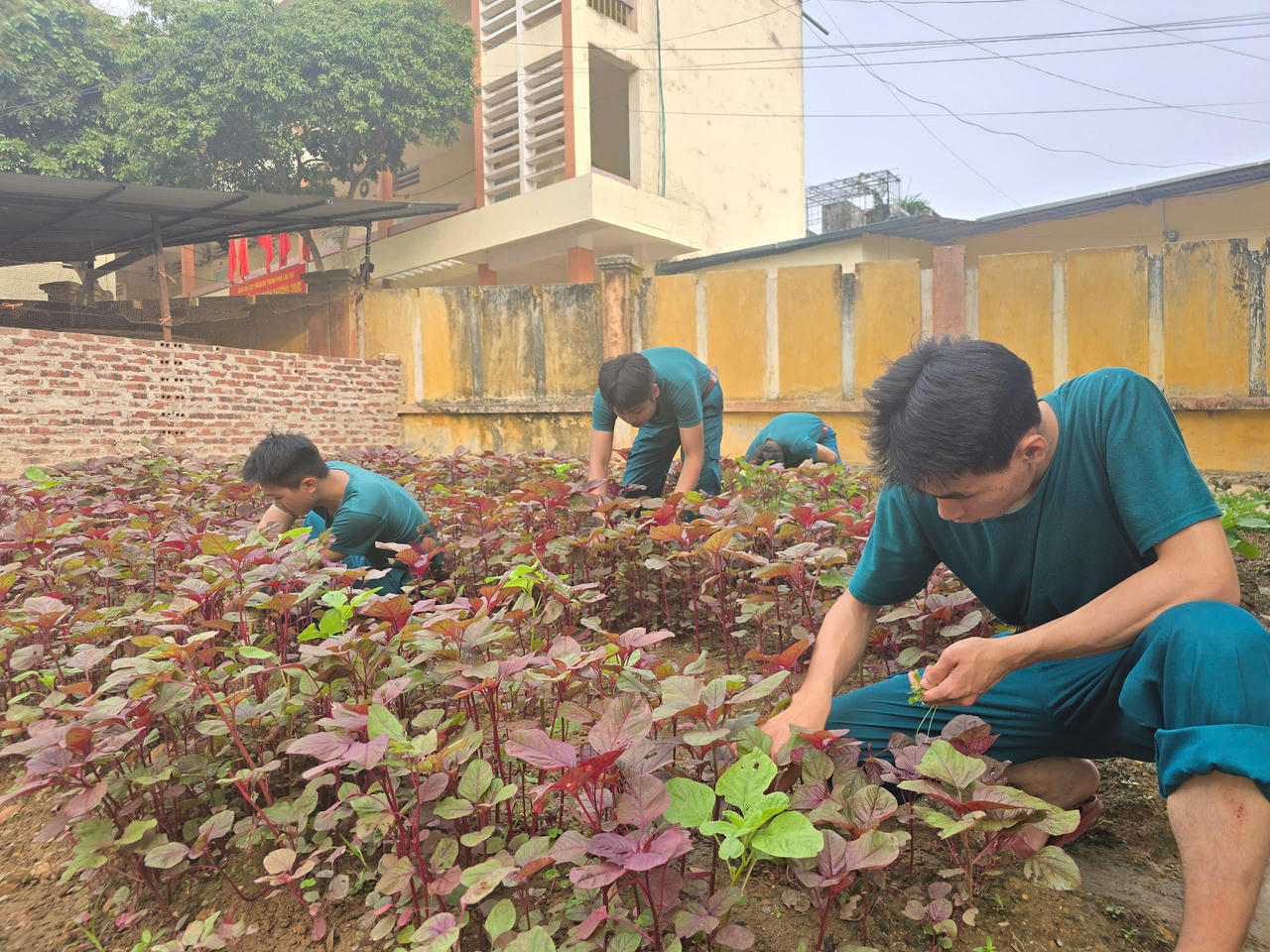 Trung đội dân quân thường trực thành phố Lào Cai sau hơn 4 tháng ra mắt