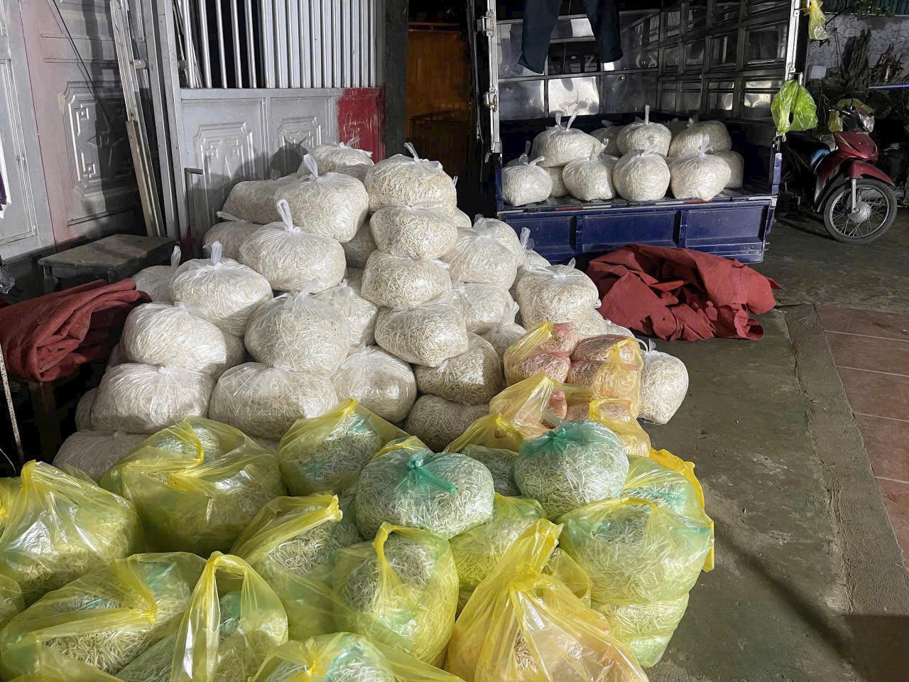 Phát hiện cơ sở sản xuất gần 350 tấn giá đỗ sử dụng chất độc hại ở Lào Cai