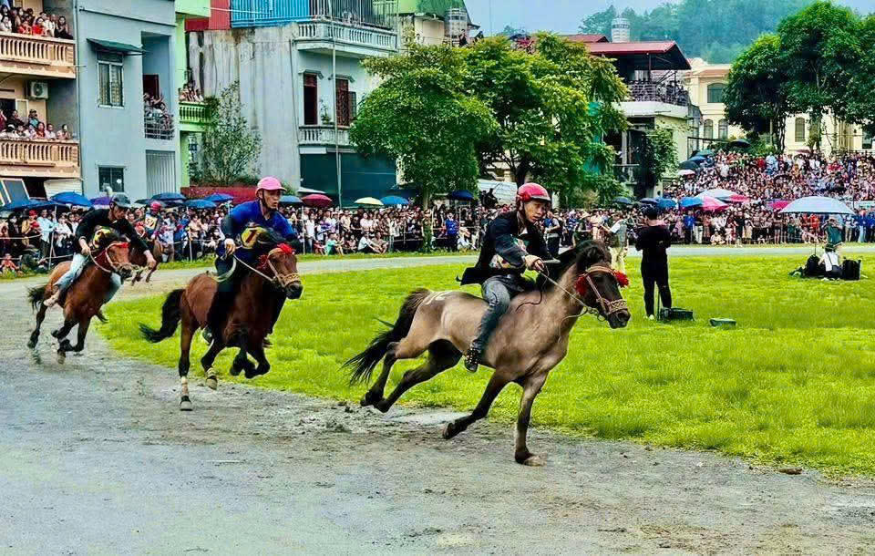 Gần 100 nài ngựa tranh tài Giải đua Vó ngựa Cao nguyên trắng lần thứ 18