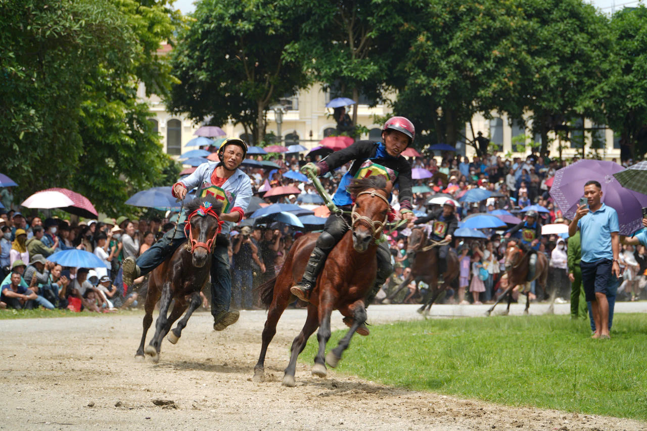 Gần 100 nài ngựa tranh tài Giải đua Vó ngựa Cao nguyên trắng lần thứ 18