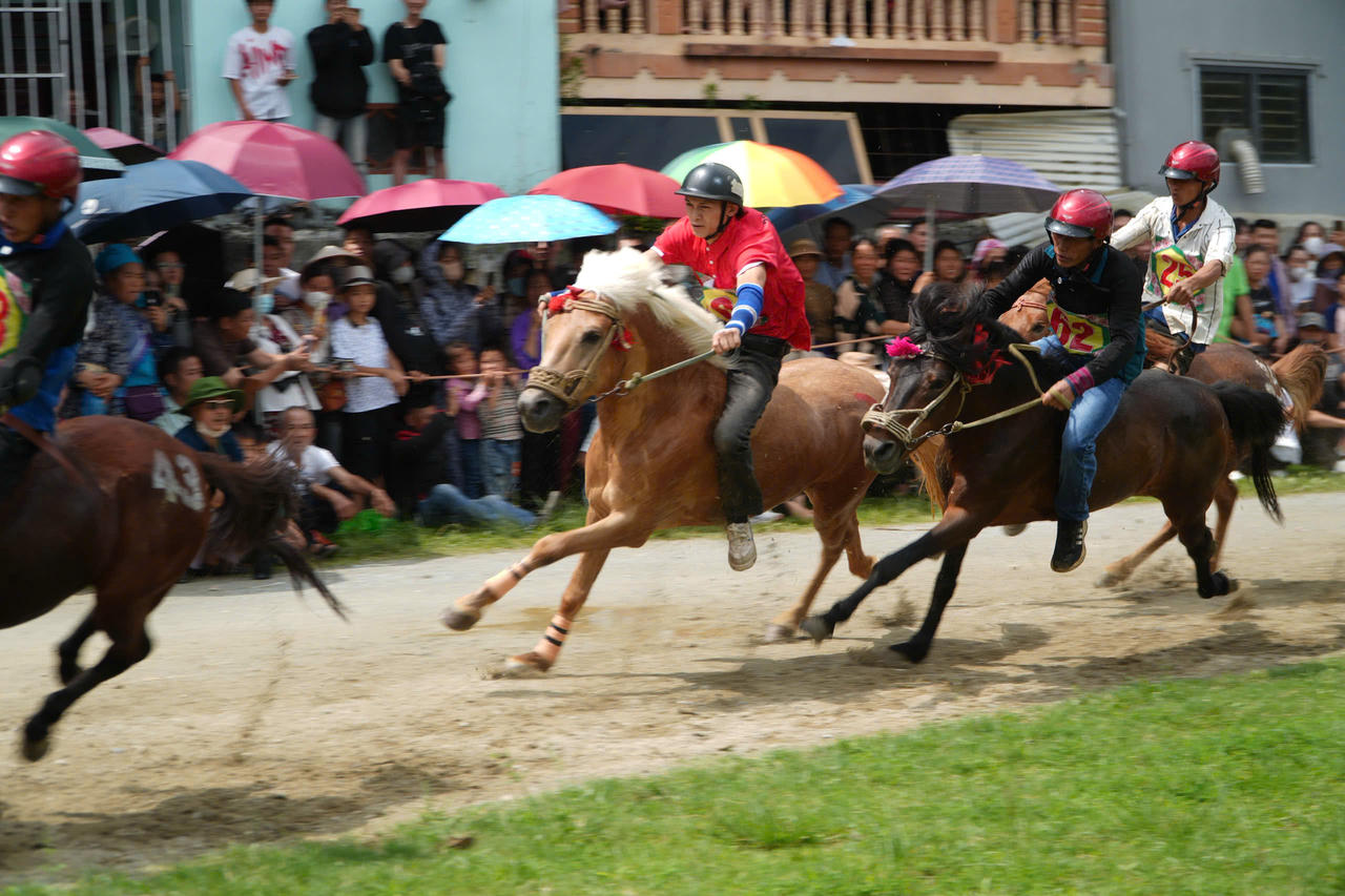 Gần 100 nài ngựa tranh tài Giải đua Vó ngựa Cao nguyên trắng lần thứ 18