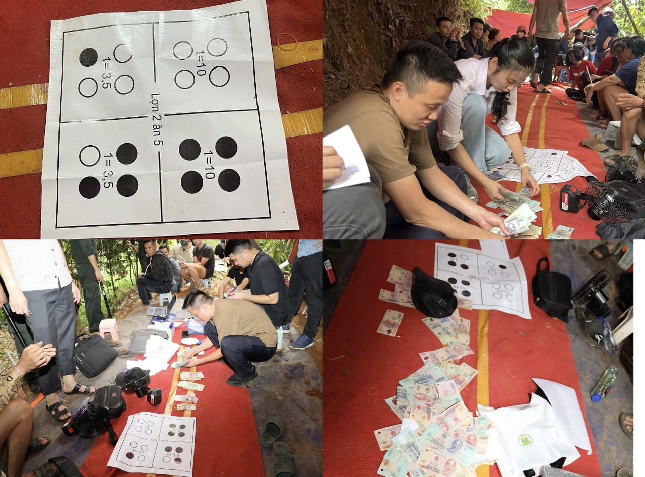 Lào Cai: Triệt xóa "ổ nhóm" đánh bạc trên đồi quế.