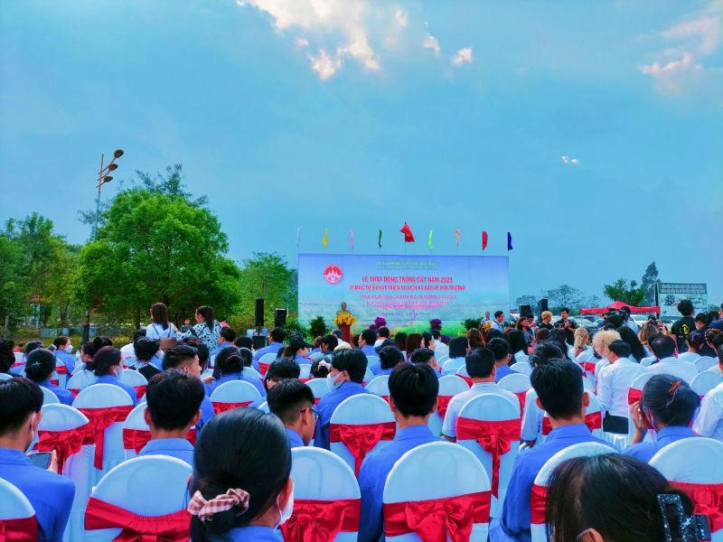 Hoa hậu du lịch thế giới trồng cây tại Vĩnh Phúc 