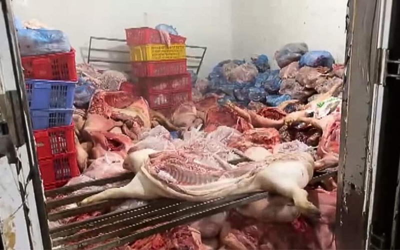 Phát hiện hơn 4 tấn lợn nhiễm bệnh tại cơ sở giết mổ trái phép