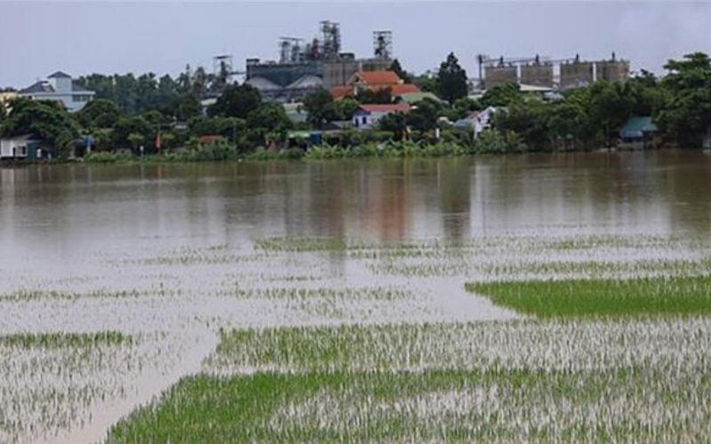 Hơn 200 ngôi nhà ở Hòa Bình ngập trong 'biển nước'