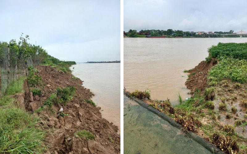 Sạt lở bờ Sông Lô nguy cấp: Đe dọa đê điều, cơ sở hạ tầng và tính mạng người dân