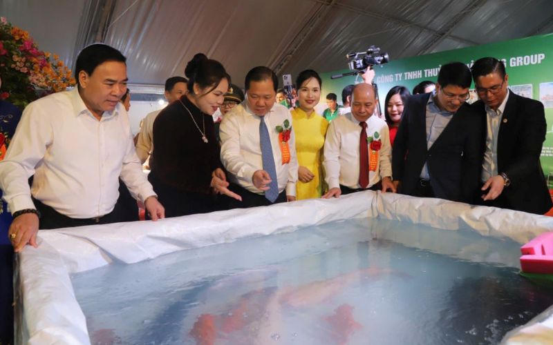 Đưa cá tôm sông Đà tham gia lễ hội