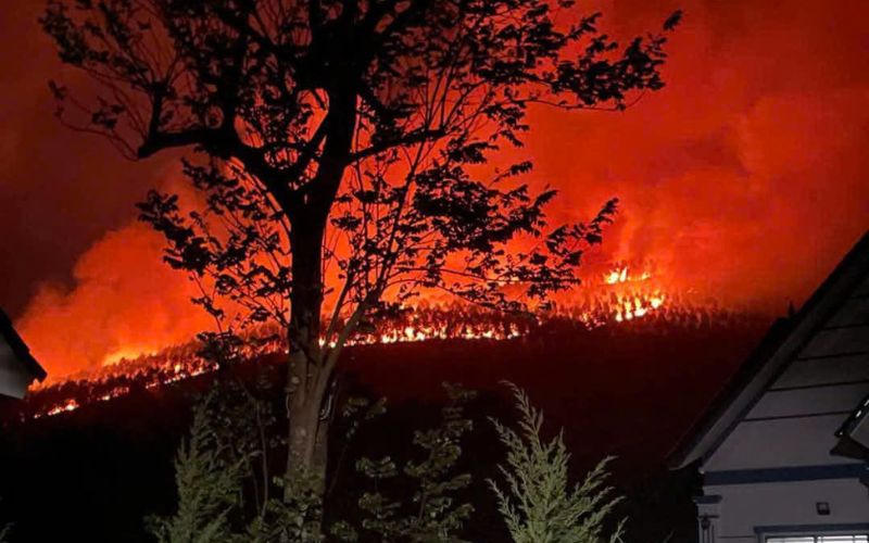 18ha rừng Tam Đảo vừa bị cháy rụi