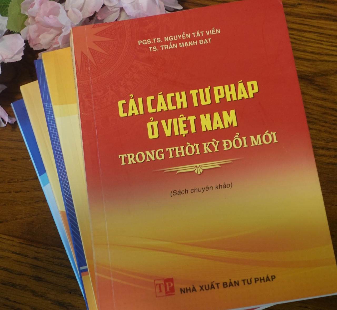 Cải cách tư pháp ở Việt Nam trong thời kỳ đổi mới