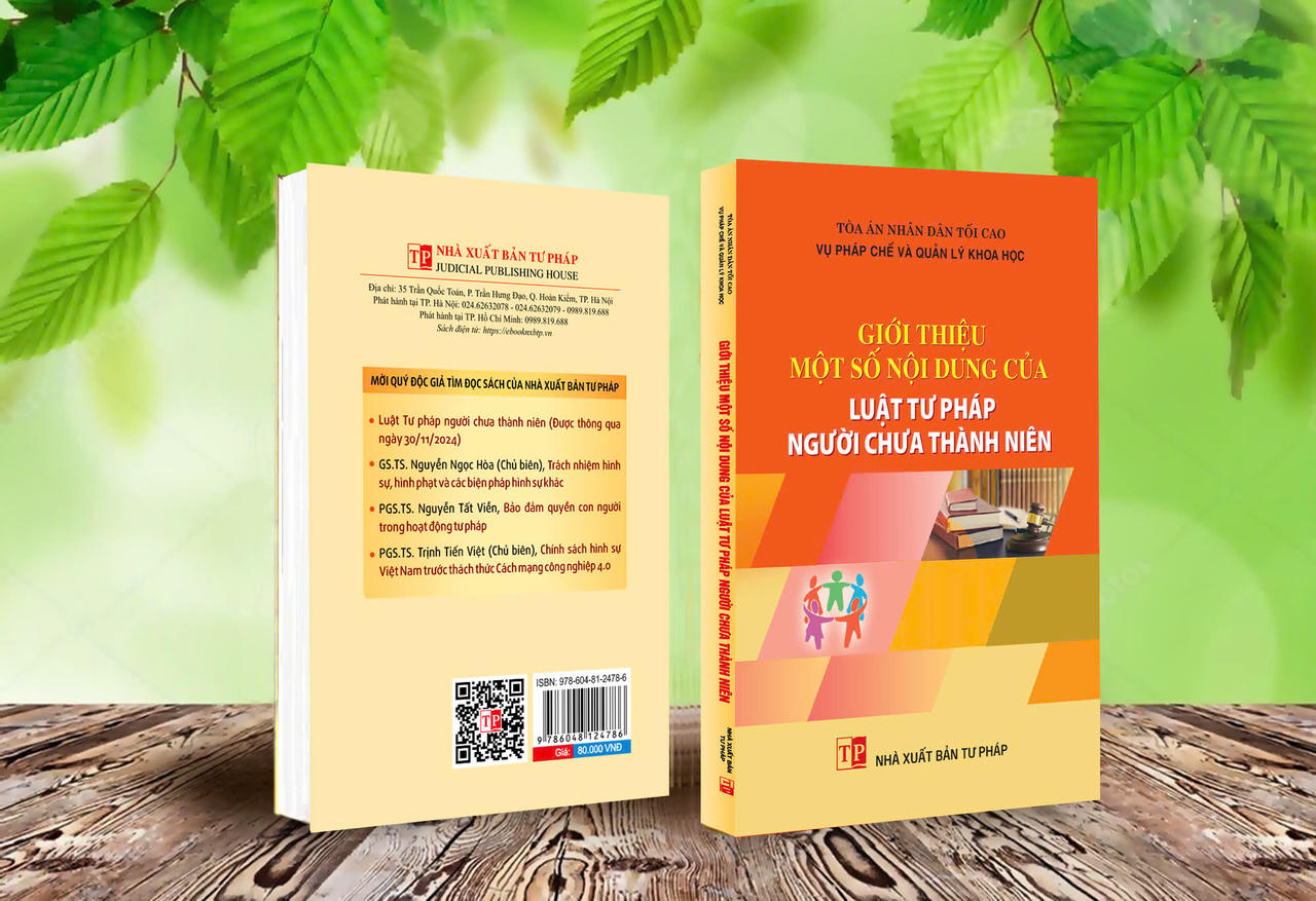 Giới thiệu một số nội dung của Luật Tư pháp người chưa thành niên