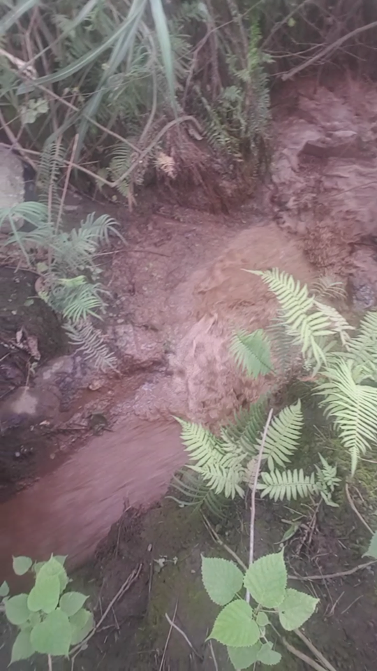 Cảng Việt Trì – Phú Thọ: Doanh nghiệp xả nước thải xuống sông Lô tạm dừng hoạt động?