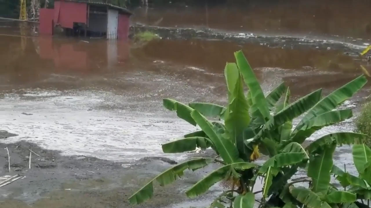 Phù Ninh – Phú Thọ: Xả thải gây ô nhiễm, một doanh nghiệp bị tạm dừng hoạt động