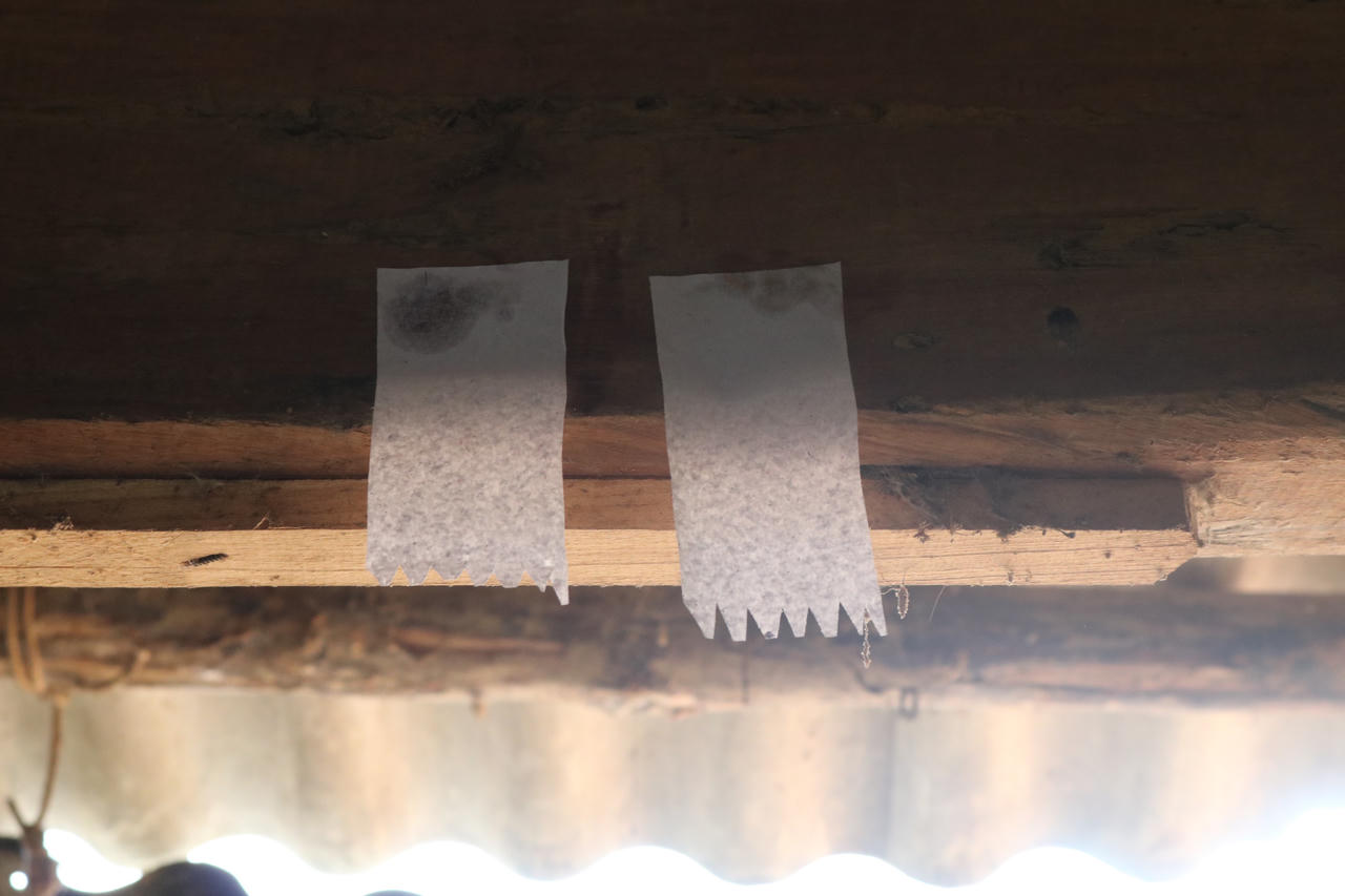 Độc đáo nghi lễ đón Tết của người H’mông ở Phú Thọ