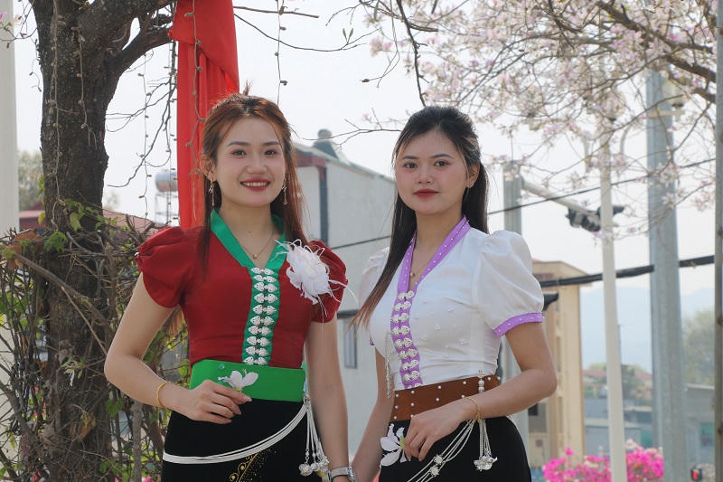 Sắc hoa ban nở giữa lòng thành phố Điện Biên Phủ